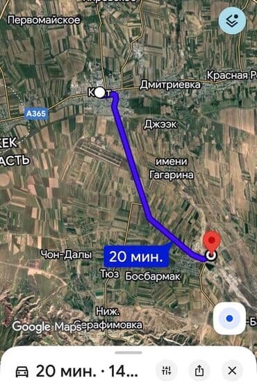 halal resort: Предоставляем все необходимые ветеринарные справки для последующей — 3