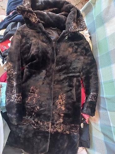 ош одежда: Свитшот, С надписью, Все размеры — 3