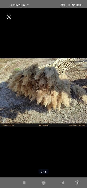 цветы на продажу: Букет из сухоцветов с вазой из ламината Создайте уют и стиль в вашем — 3