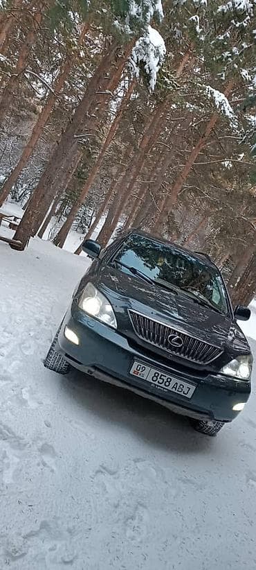 Lexus RX: 2003 г., 3.3 л, Автомат, Бензин, Кроссовер — 4
