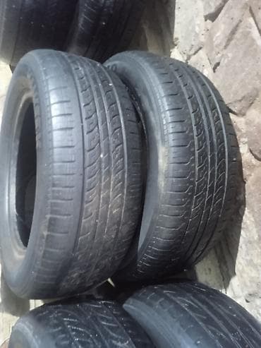 Шиналар 205 / 55 / R 16, Кыш, Жуп, DUNLOP — 5