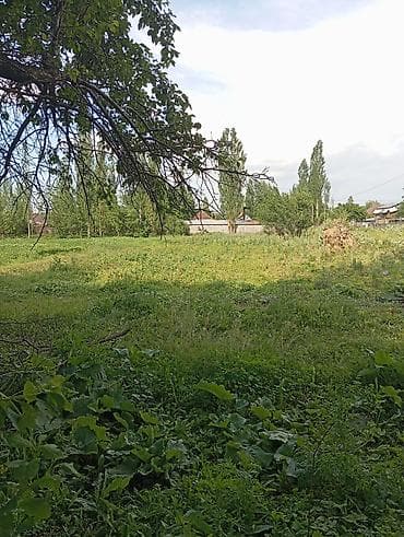 капсульные дома кыргызстан: Продается жилой дом с двором и хозяйственными постройками — 8
