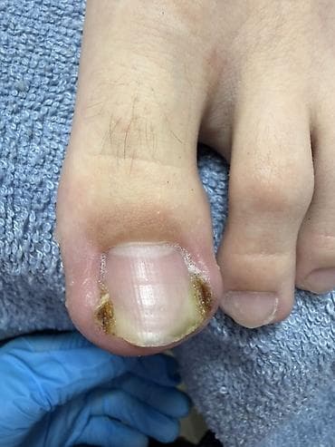 очаг: Врачи | | Другие медицинские услуги — 1