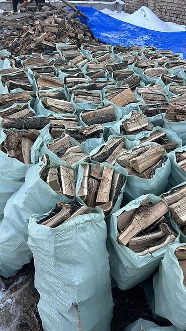 Дрова at lalafo.kg Дрова