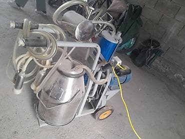 жылкы жаныбар: Доильный аппарат передвижной для коров Описание: - Электрический — 2