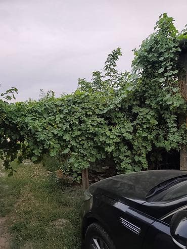 Дома: Продаю полдома, в районе Пишпека, по ул. Крылова 1 линия Рассмотрим — 4