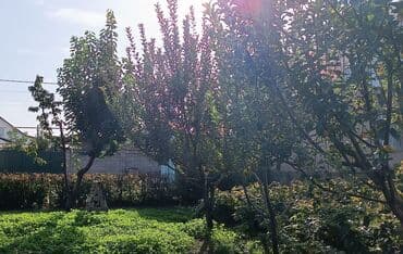 куплю дом жм кут: Дом, 50 м², 2 комнаты, Собственник, Евроремонт — 2