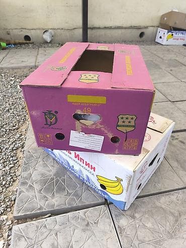 коробка для фруктов: Ящик — 1