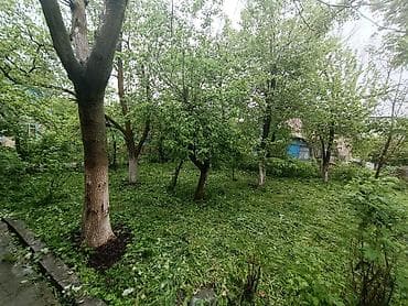 светлая поляна: Продаётся дачный участок с жилым домом и хозяйственными постройками — 7