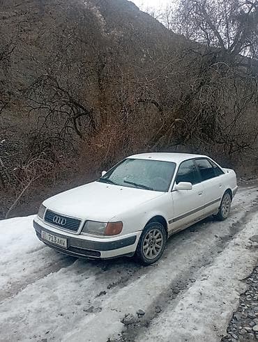 Audi 100: 1992 г., 2 л, Механика, Бензин, Седан