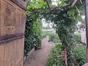 Недвижимость: Дача с ухоженным огородом и постройками - Дом садовый 1,5 .имеется — 4