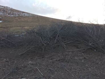 отдам даром двери: Дрова бесплатно . Неограниченное количество. Самовывоз. Спиленные — 1