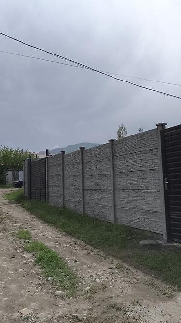 живые рыбы бишкек: Железобетонная заборная плита, Длина: Другая длина, Высота: Другая высота, Толщина: Другая толщина — 7