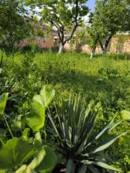 продаю дом бер булак: Дом, 1441 м², 8 комнат, Собственник — 21