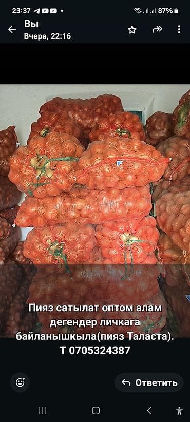 оптом овощи фрукты: Лук — 1