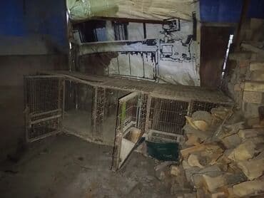 продам домик для кошки: Клетки для животных из металлической сетки, подходящие для содержания — 6