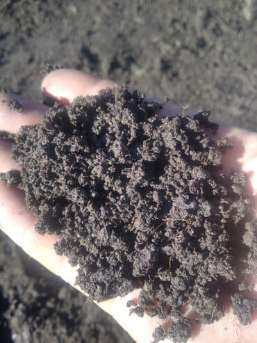 Уголь: Доставка зил Чорназём горный чистый перегной — 2