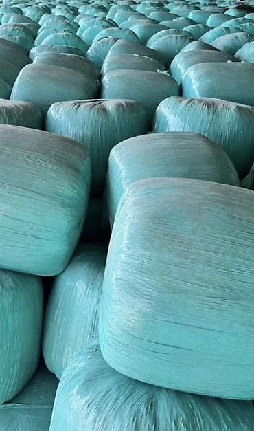 уй сан: Кукурузный силось в герметичных рулонах - Корм: кукурузный — 1