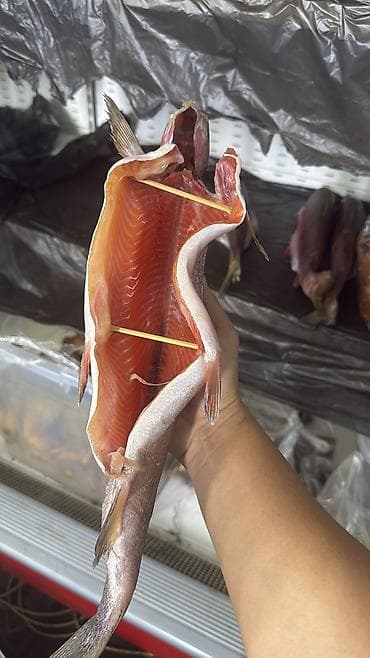 малек осетра: Филе слабосолёной красной рыбы форель нарезанные крупными пластами. - — 2