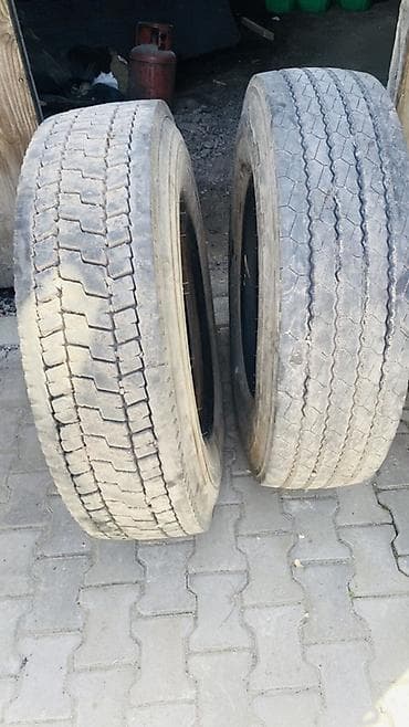 abs audi: Шины 315 / 80 / R 22,5, Всесезонная, Пара, Грузовики/Автобусы — 1