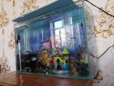 аэрация: Аквариумный комплект с декором и оборудованием - Прямоугольный — 3