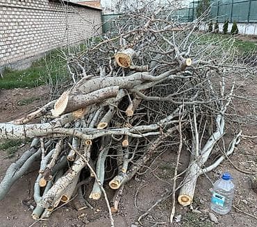 Все для дома и сада: Дрова Самовывоз — 2