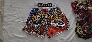 pro force: Шорты для тайского бокса (Muay Thai) Blegend оригинальные, купленные в — 1