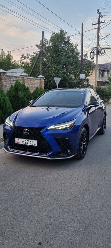 Lexus NX: 2022 г., 2.4 л, Типтроник, Бензин, Кроссовер