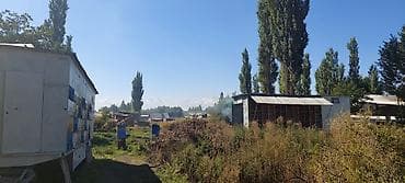 Пасика -пчёлоповилион ! все вопросы по телефону. СРОЧНО СРОЧНО at lalafo.kg Пасика -пчёлоповилион ! все вопросы по телефону. СРОЧНО СРОЧНО