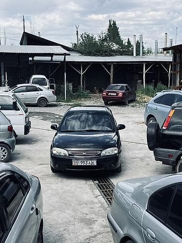 авто ижара: Kia Spectra: 2008 г., 1.6 л, Кол менен иштөөчү, Бензин, Седан — 1