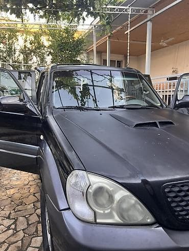 santa fe: Hyundai Terracan: 2004 г., Автомат, Дизель, Внедорожник — 3