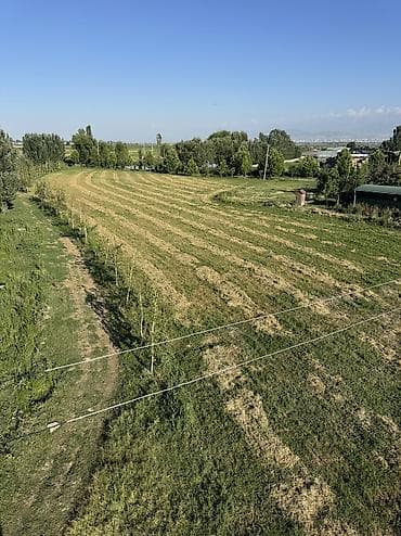 Продаю Клевер, беде 2 укос Тюковать буду 11 июля Цена 250 сом с поля