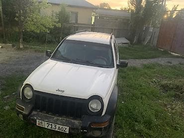 Jeep Liberty: 2004 г., Жол тандабас — 5