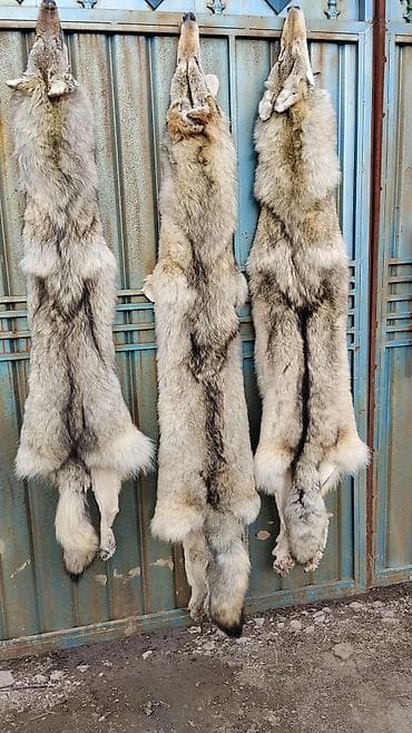 рефленый лист: Ковер Шкура — 2