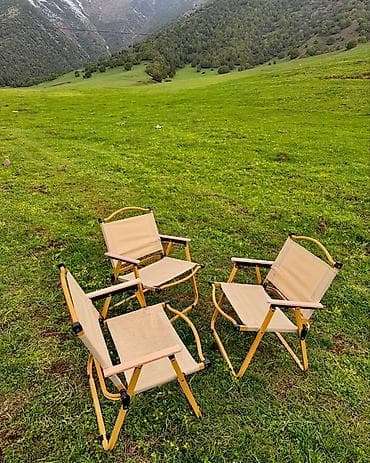 Изоляциялык материалдар: Жүрүшкө арналган бүктөлмө отургуч, Жаңы, Башка материал, түсү - Сары — 2