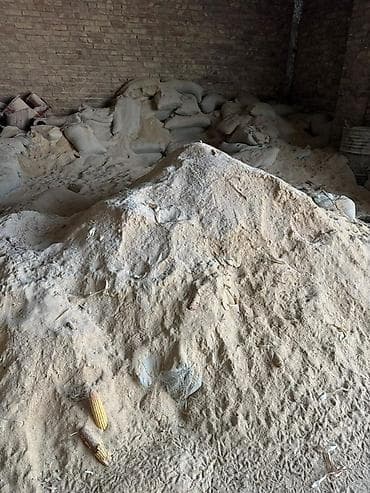 сладкий кукуруз: ОТРУБИ РИСОВЫЕ ‼️ Остатки то что на фото Цена 10 сом за КГ (Примерно — 1