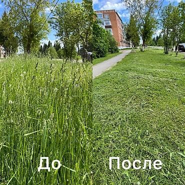 Уборка территории: Уборка территории, Уборка двора и сада, Стрижка газона — 2
