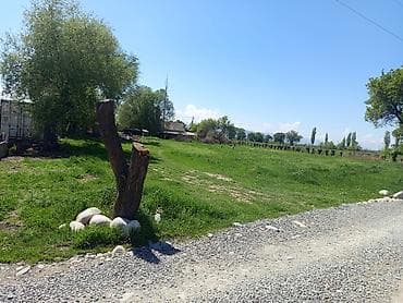 кел кел: 10 соток, Айыл чарба үчүн — 2