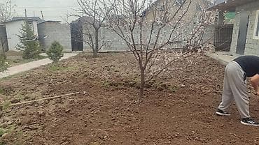 Стирка ковров: Уборка территории, Уборка двора и сада — 8