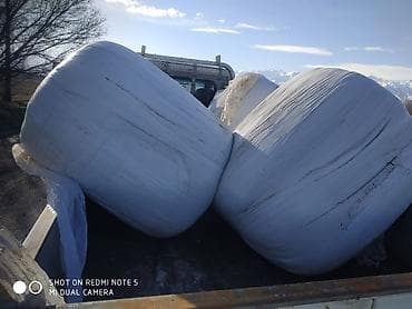 ош ишкаван: Жом алуучулар чалгыла жазгыла . доставка жом в рулонах — 3