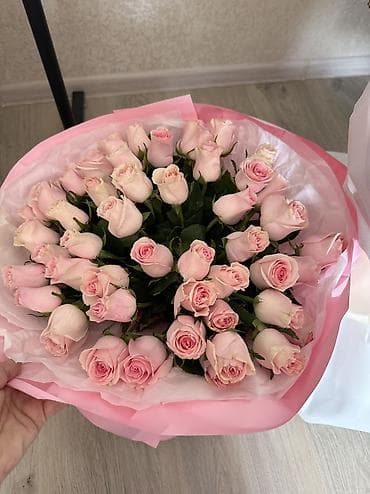 цветы даром: Отдам за 1000 сом, покупали за 4000 — 1