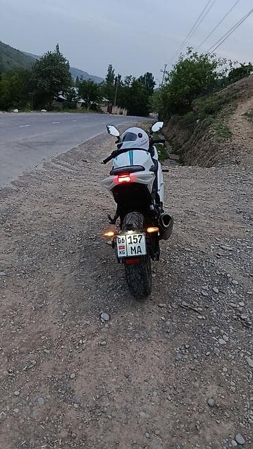 тандем машина: Спортивный мотоцикл Дукати Панигал, белый. Основные характеристики: - — 1