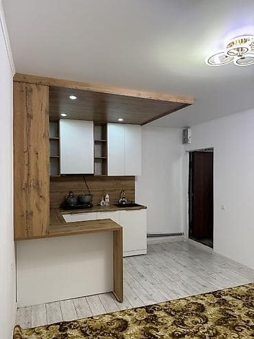 гарнет: 1 комната, 18 м², Элитка, Цокольный этаж этаж, Косметический ремонт — 3