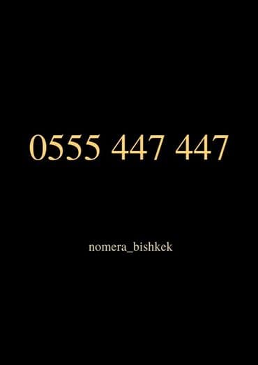 диктофон купить бишкек: Сим карта мега — 1