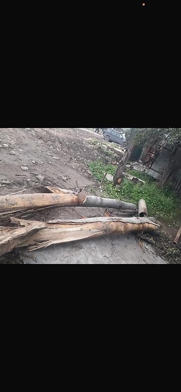 на дрова: Дрова — 3
