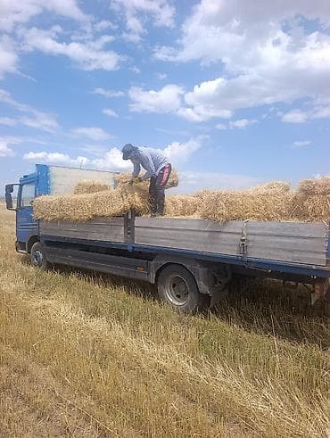корм для животных: Солома в тюках — 6