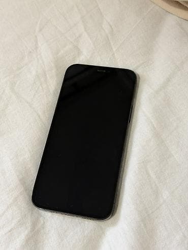 IPhone 12 Pro, Б/у, 256 ГБ, Pacific Blue, Чехол, 73 %