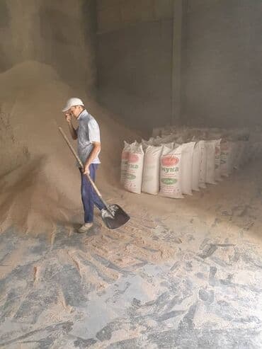 рэгдолл цена: Отруби отруби Отруб отруб Улпак улпак Улпаг улпак Кепек Кебек Кевек — 14