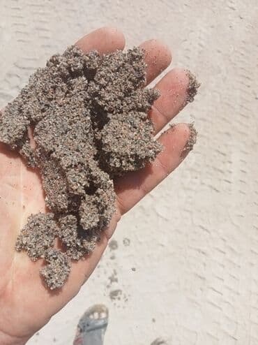 куплю уголь шабыркуль: Песок, Ивановский карьер, В тоннах, Камаз, Хово — 14