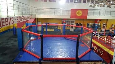 коврик для занятий: •чучело борцовское •груша бокс •груша-капля малая. •макивара(лапа — 7